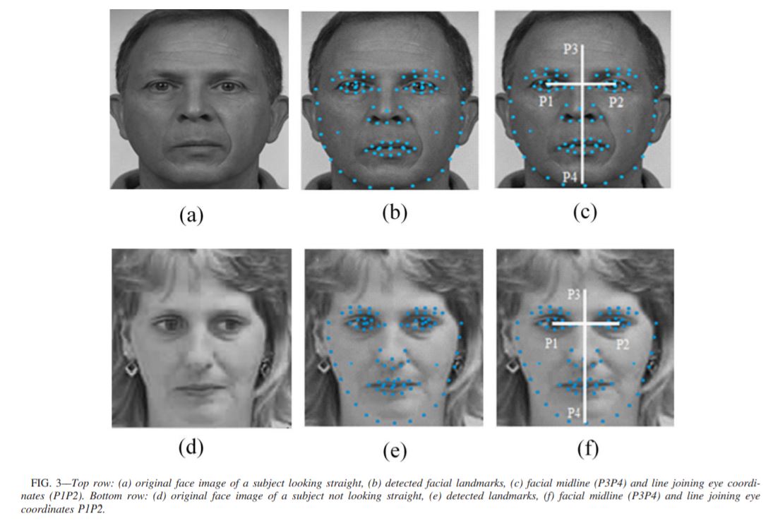 Facial Asymmetry-Based Age Group
								Estimation: Role in Recognizing
								Age-Separated Face ImagesPdf